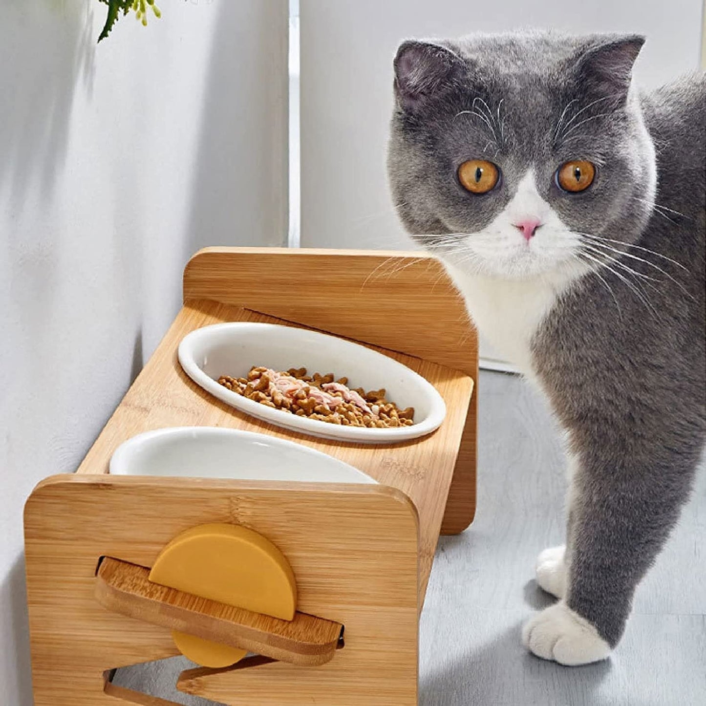GAMELLE CERAMIQUE ET BAMBOU INCLINABLE POUR CHAT