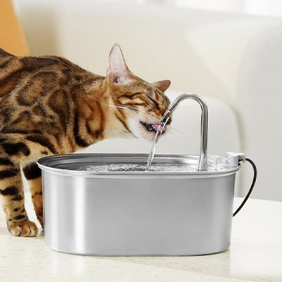 Fontaine à eau Chat | Filtration Continue - Au comptoir des chats