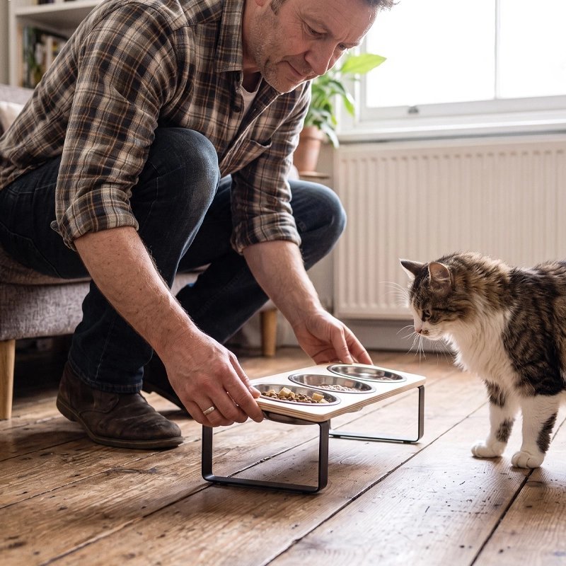 Gamelle Chat surélevée | Confort Optimal - Au comptoir des chats