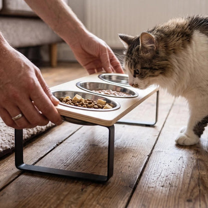 Gamelle Chat surélevée | Confort Optimal - Au comptoir des chats