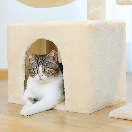 Petit arbre a chat | Compact - Au comptoir des chats