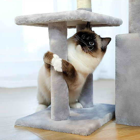 Petit arbre a chat | Compact - Au comptoir des chats
