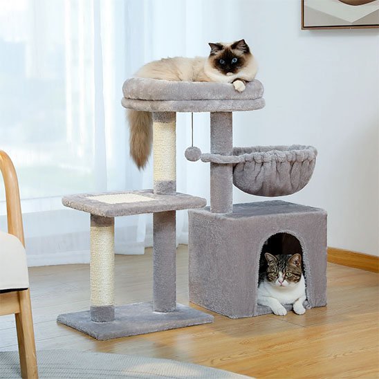 Petit arbre a chat | Compact - Au comptoir des chats