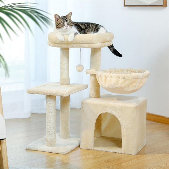 Petit arbre a chat | Compact - Au comptoir des chats