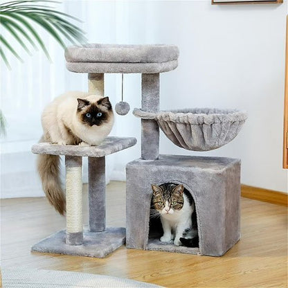 Petit arbre a chat | Compact - Au comptoir des chats